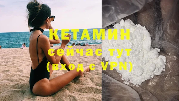 гашик Новозыбков