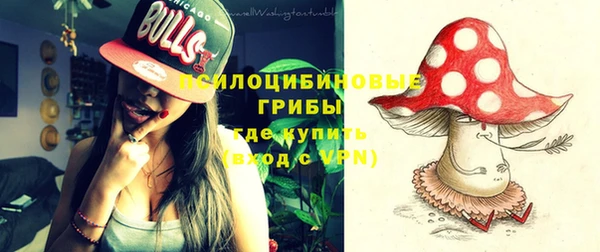 гашик Новозыбков
