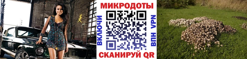 это какой сайт  Нерчинск  Галлюциногенные грибы Cubensis  сколько стоит 