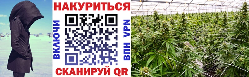 закладка  Нерчинск  hydra ONION  Бошки марихуана ГИДРОПОН 